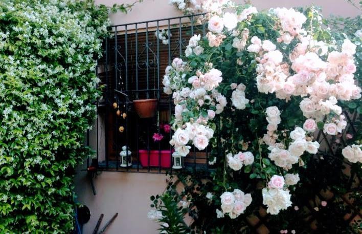 Appartamento La Terrazza Di Dora Menaggio Exteriér fotografie